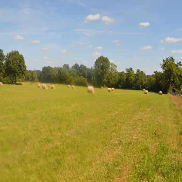 Offres de vente Ferme Bussière-Poitevine 87320