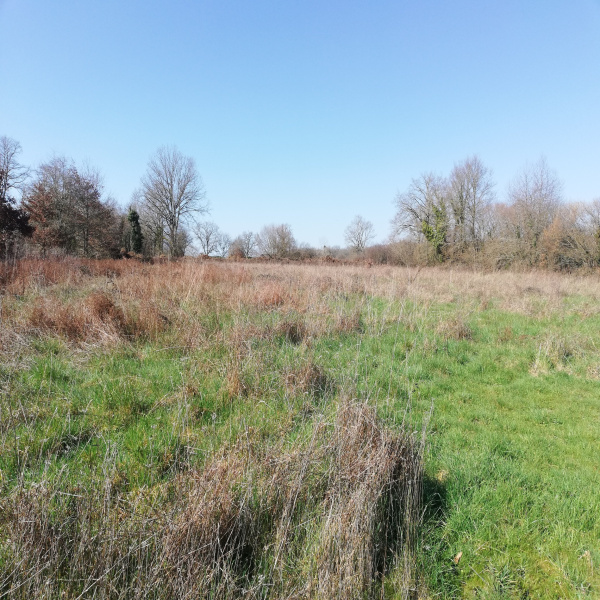 Offres de vente Terrain Le Dorat 87210