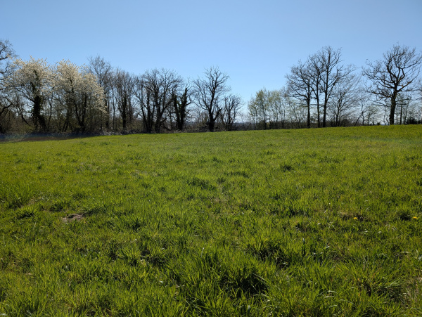 Offres de vente Terrain à batir Le Lonzac 19470